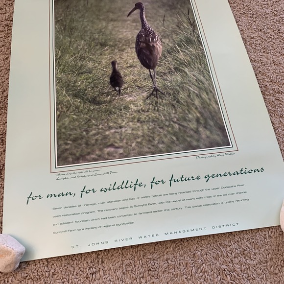 Restoring the Ocklawaha 16x21 Environmental Wildlife Poster St. Johns‎ River - Picture 3 of 4